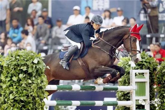 成己成物，桃李芬芳，国内首位“骑士金教鞭”获奖者