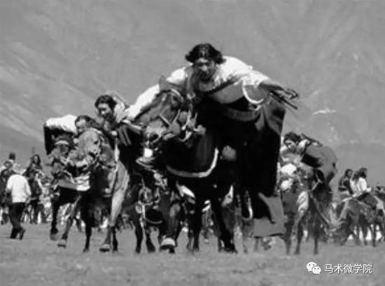 西藏赛马