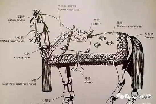 骑马原来贵族运动 这些马可能穿得比你还好！