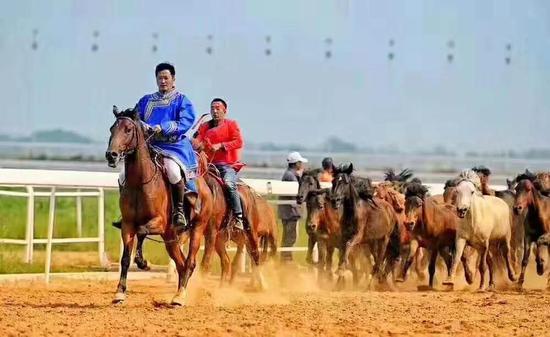 800匹骏马在吴京和“大谦战狼”引领下表演万马奔腾