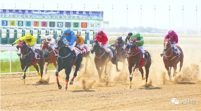 5枚全国民运会速度赛马金牌 山西玉龙赛场赛驹包揽3枚