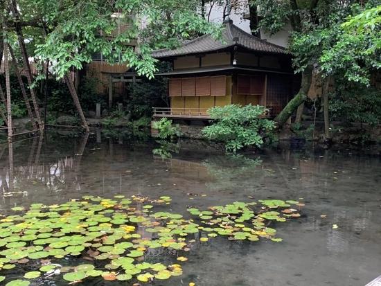 末代本因坊七番棋开战 井山111分大长考仍遭屠龙