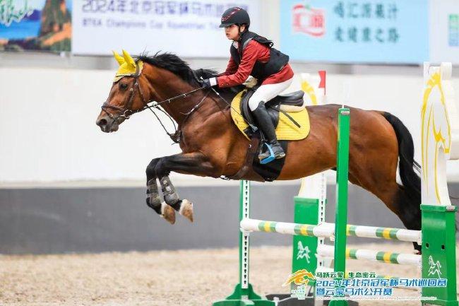 2024北京冠军杯马术巡回赛 177位骑手争雄